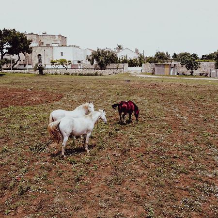 Masseria Francescani Торре-К'янка Екстер'єр фото